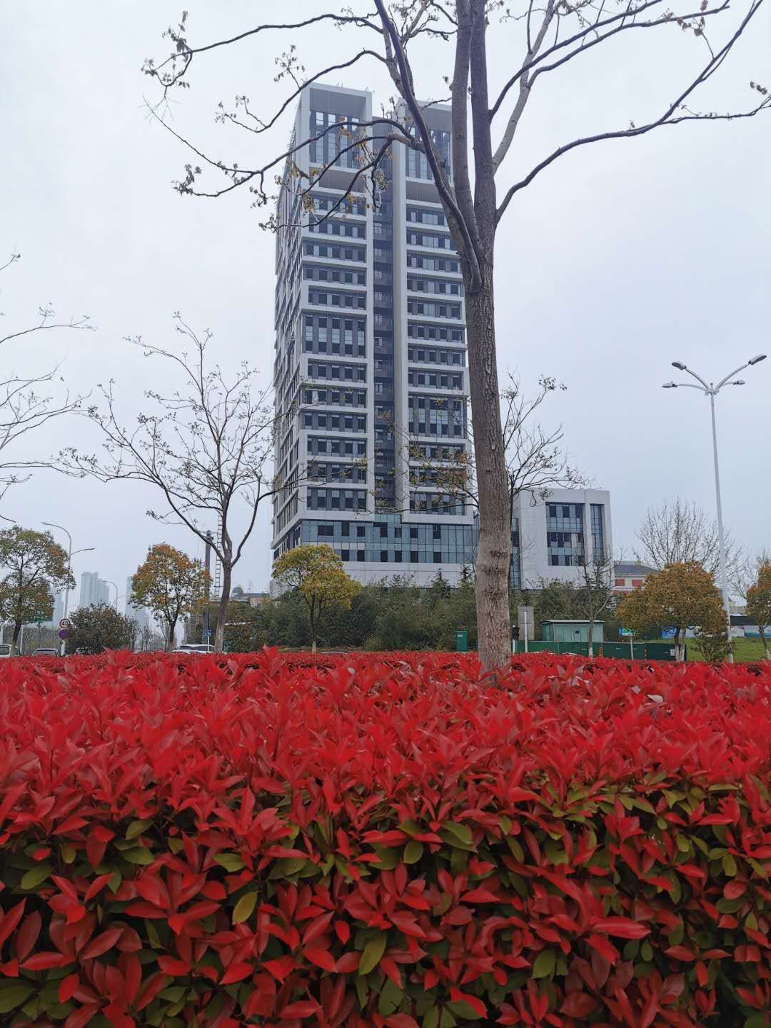 RWIƵO(jin)